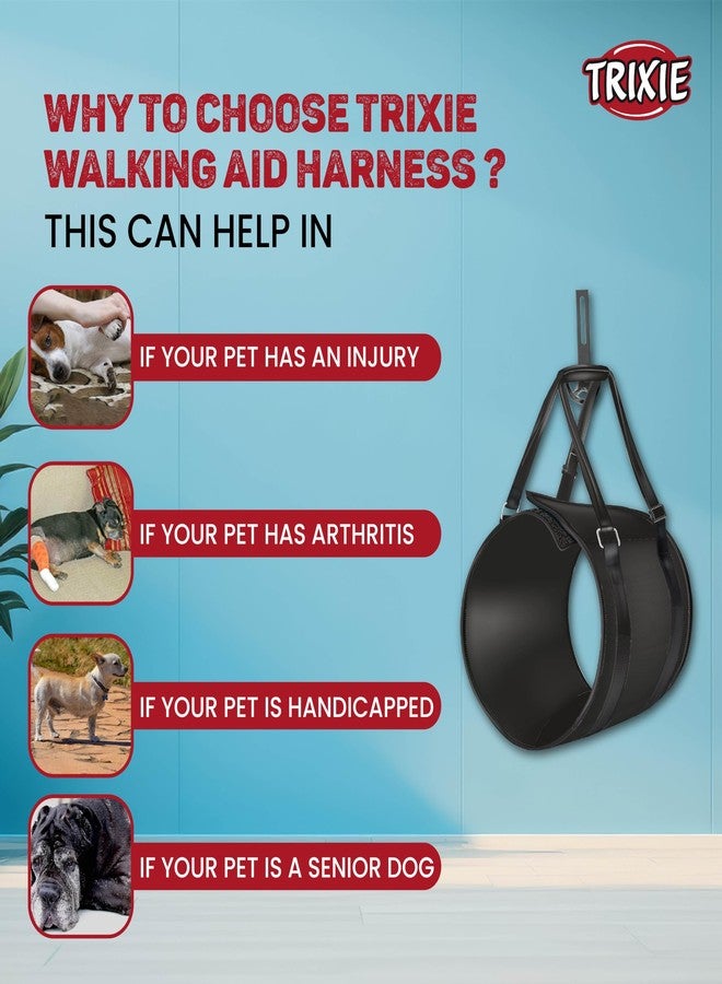 Trixie: - Lifting Aid Dog Harness | Made with Durable Polyester, for Relief and Stabilizing | Can Also be Used as Walking Aid | Can Hold Upto 25 Kg - Medium 60-65 cm, Black - Image 2